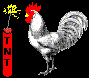 ded chicken.gif (16734 bytes)